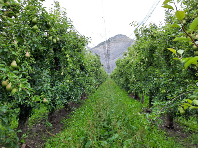 Others 4, Le Petit Begou, Hautes-Alpes