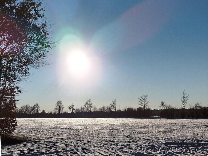 View from property 3, Ferienhaus in Hunning an der Treene, Schleswig-Flensburg