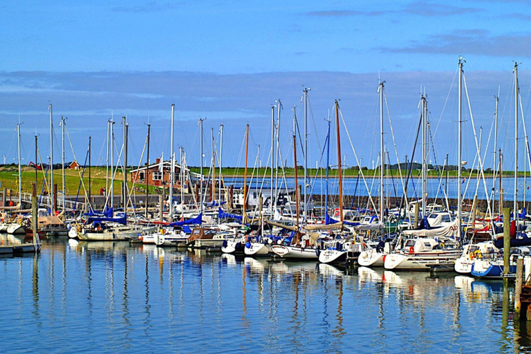 Others 5, Studio in Wyk auf Foehr, Nordfriesland
