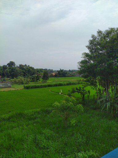 Others 4, penginapan banyu biruku, Probolinggo