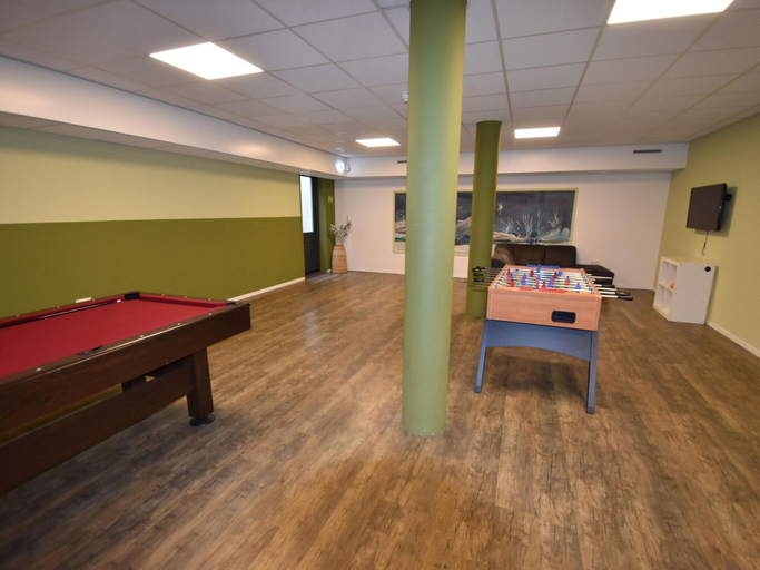 Property amenity 5, Holiday Home for Group With Sauna and Pool, Westerveld