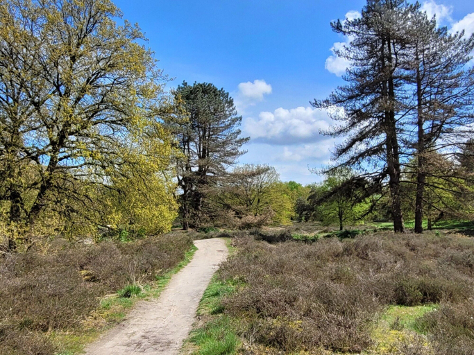 View from property 2, Villa in Overloon near War Museum and Zoo, Boxmeer