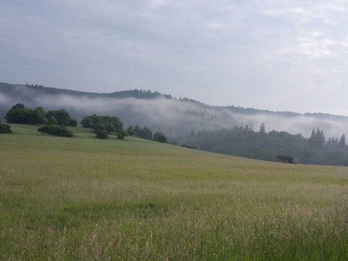 View from property 2, Holiday Apartment Haus Bodefurt - Apartment 2, Harz