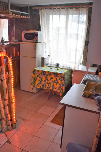 Others 4, Casa Parvu, Sotrile