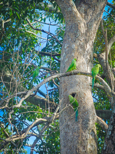 Others 4, Yoma Wild Hotel, Embilipitiya