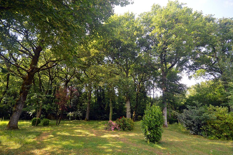Others 2, Le pied du chene, Charente-Maritime
