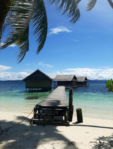 Others 5, Frances Homestay - Raja Ampat, Raja Ampat