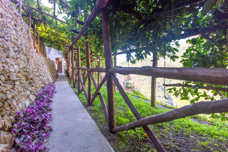 Others 4, Poggio Angelarosa: Lemon Garden Stay&Relax, Salerno