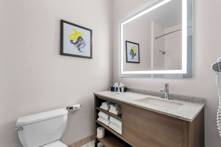 Bathroom 4, Comfort Suites Denver North - Westminster, Adams