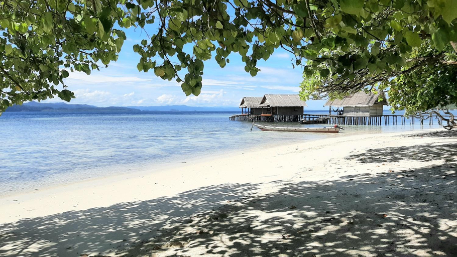Others 4, Frances Homestay - Raja Ampat, Raja Ampat