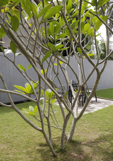 Others 5, Avita Villa, Hikkaduwa