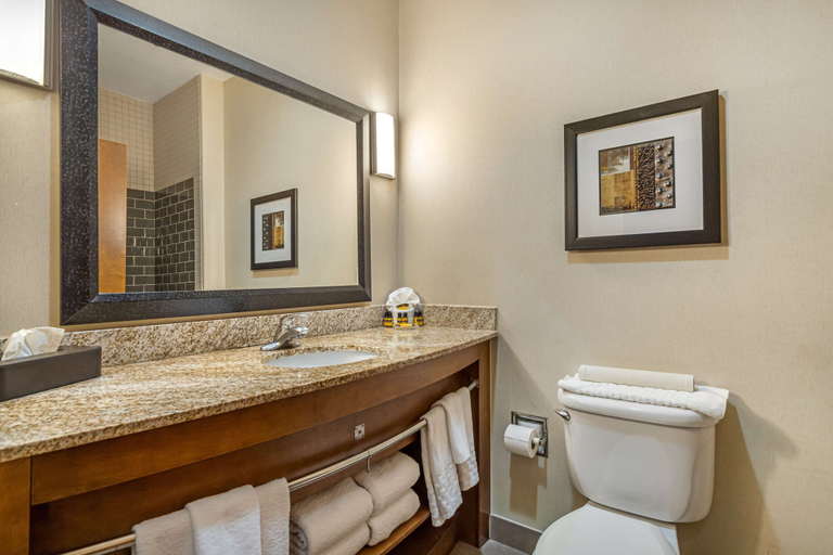 Bathroom 4, Best Western Plus Lackland Hotel & Suites, Bexar