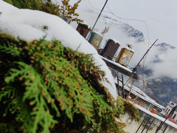 Odyssey Stays Joshimath - Near Narsingh Temple, Chamoli