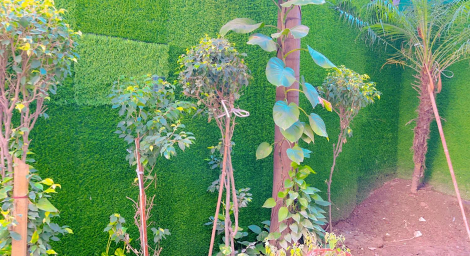 Others 5, City View, Amritsar