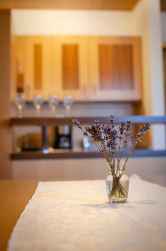 Others 2, Luxury apartments Prezin, Hoce-Slivnica