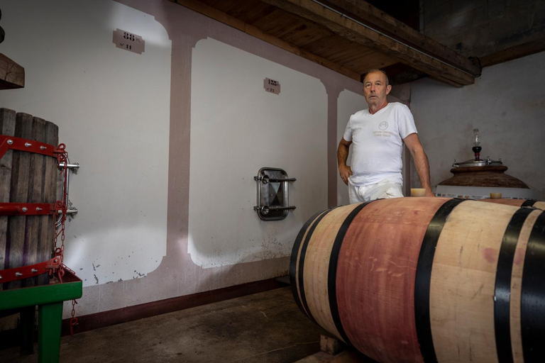 Food & Drinks, Suite campagnarde pres Bordeaux, vue sur les vignes au Chateau Camponac, Gironde