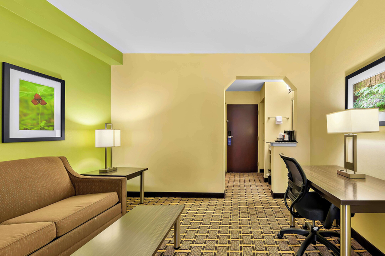 Others 5, Best Western Knoxville Suites - Downtown, Knox
