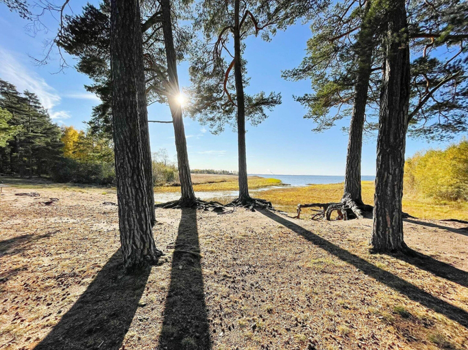 Miscellaneous 4, 2 Person Holiday Home in Norrkoping, Norrköping