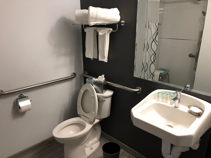 Bathroom 5, Streamline Hotel, Volusia