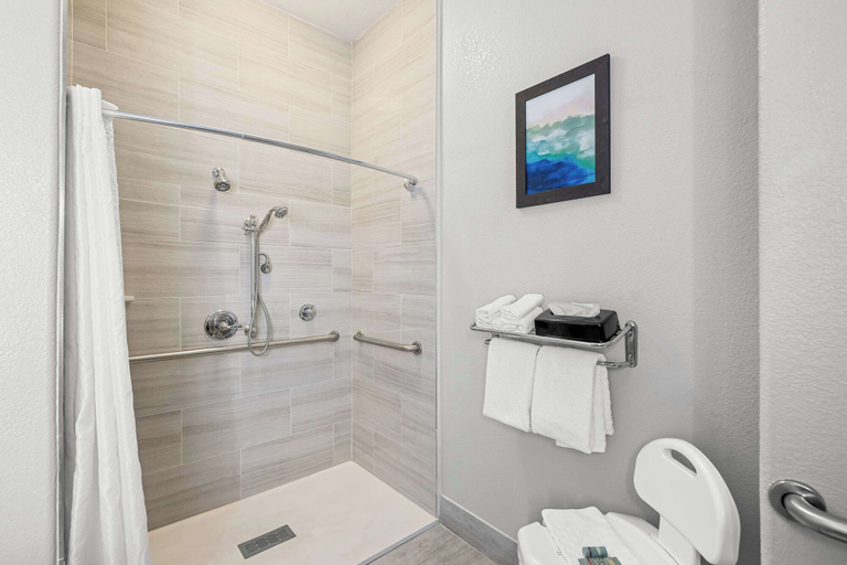 Bathroom 4, Best Western Palace Inn & Suites, Howard