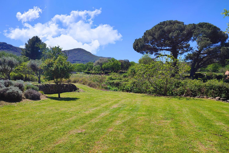Others 3, CASA di u cuginu, Haute-Corse