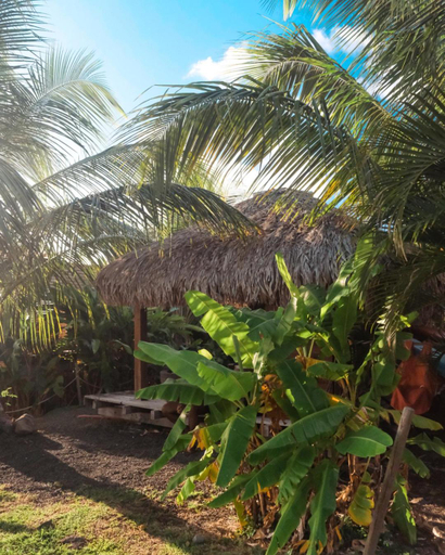 Others 5, dom nature lodge & spa, Basse-Pointe