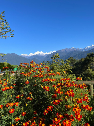 Others 5, Ifseen Villa, West Sikkim