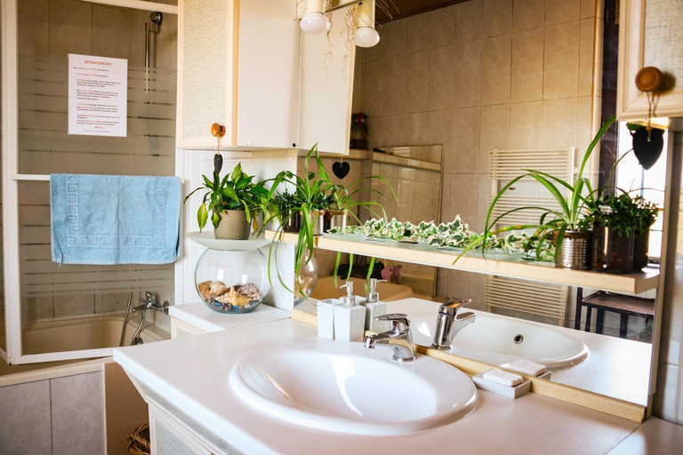 Bathroom 3, Villa MAS GUAPA dans le TARN Albigeois 81, Tarn
