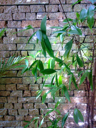 Others 3, Nap Homestay, Phan Rang-Tháp Chàm
