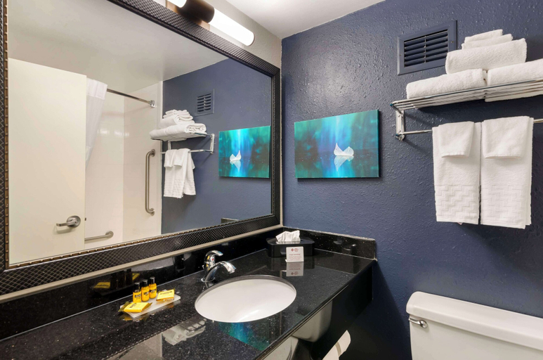 Bathroom 4, Best Western Plus Beckley Inn, Raleigh