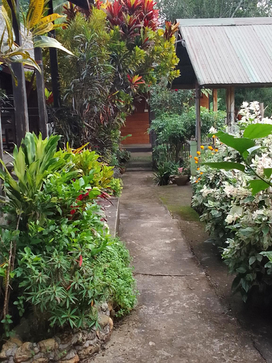 Others 4, Suan Phao, Ngoi