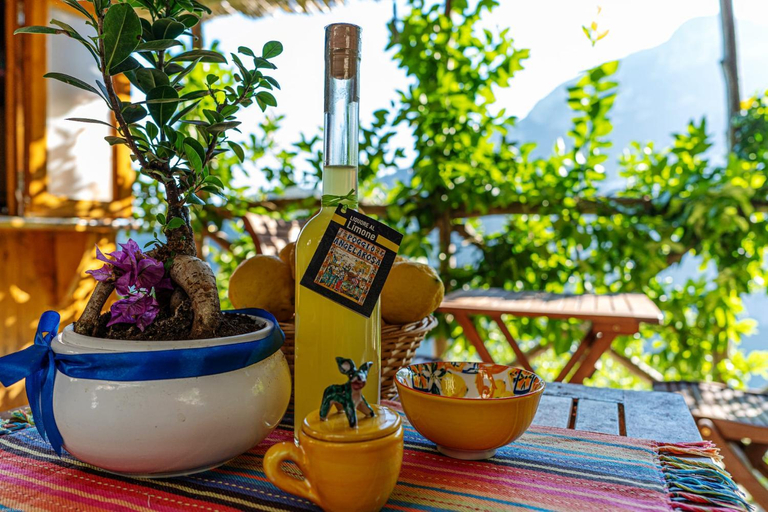 Others 5, Poggio Angelarosa: Lemon Garden Stay&Relax, Salerno