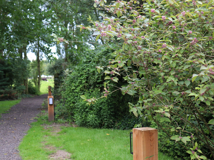 Exterior 2, Holiday Home in Blesdijke Near Giethoorn, Weststellingwerf