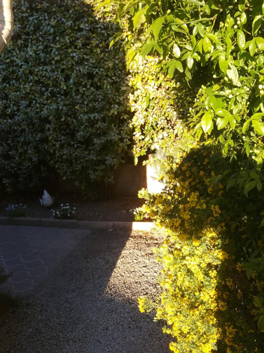 Others 3, UNE CHAMBRE EN VILLE, Vaucluse