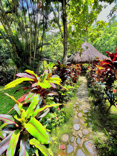 Others 5, Manigua Tayrona Hostel, Santa Marta (Dist. Esp.)