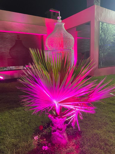 Others 4, Jnane Nina, Agadir-Ida ou Tanane