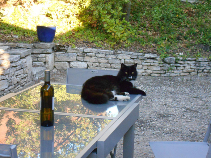 Others 4, Chantegarrigue, Gard