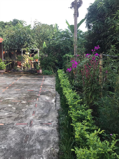Others 5, Budget Green Guesthouse, Bắc Quang