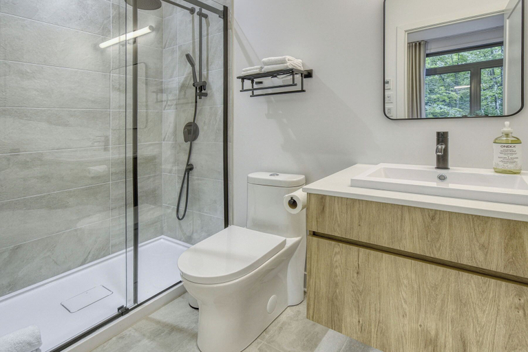 Bathroom 5, 201 Verbier Building 7, Les Laurentides