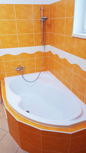 Others 5, APARTMANY POD CERCHOVEM, Domažlice