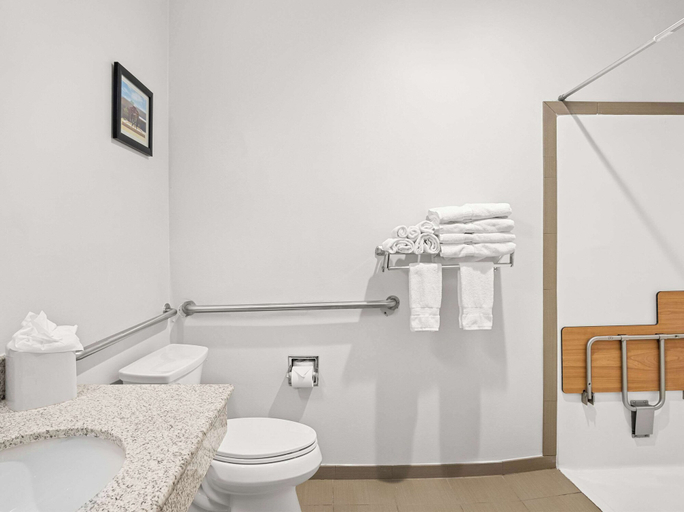 Bathroom 4, Comfort Suites Lindale - Tyler North, Smith