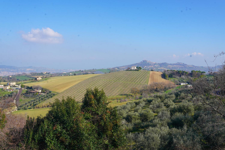 Others 5, Bed and Breakfast Villa Alba, Teramo