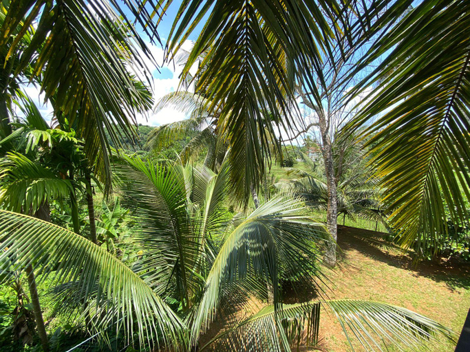 Others 4, Lush Green, Habaraduwa