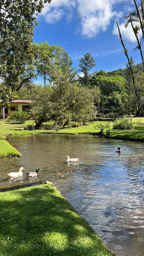 Others 4, La Casa de los Patos, Antón