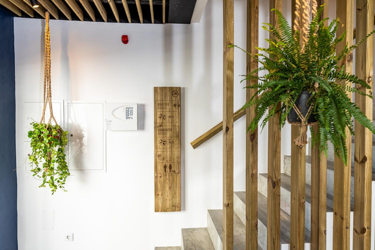 Public Area, Ola Vida - Hostel Caminha, Caminha