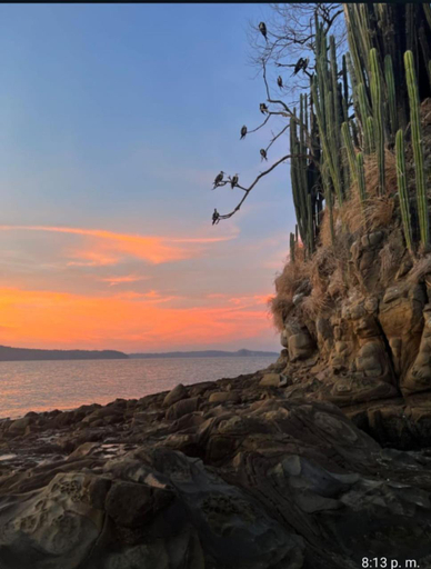 Others 3, Bioluminiscencia Hostel Tours - South, Puntarenas