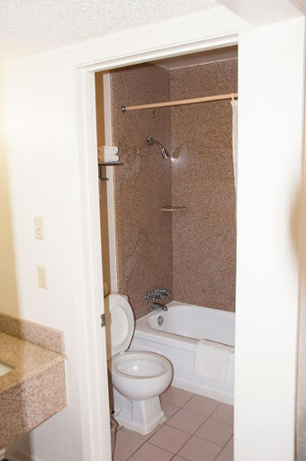 Bathroom, Exacta Inn, Webster