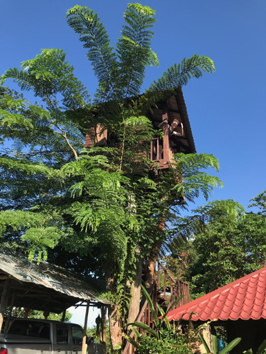 Mae Chan Treehouse with swimming pool, Mae Chan