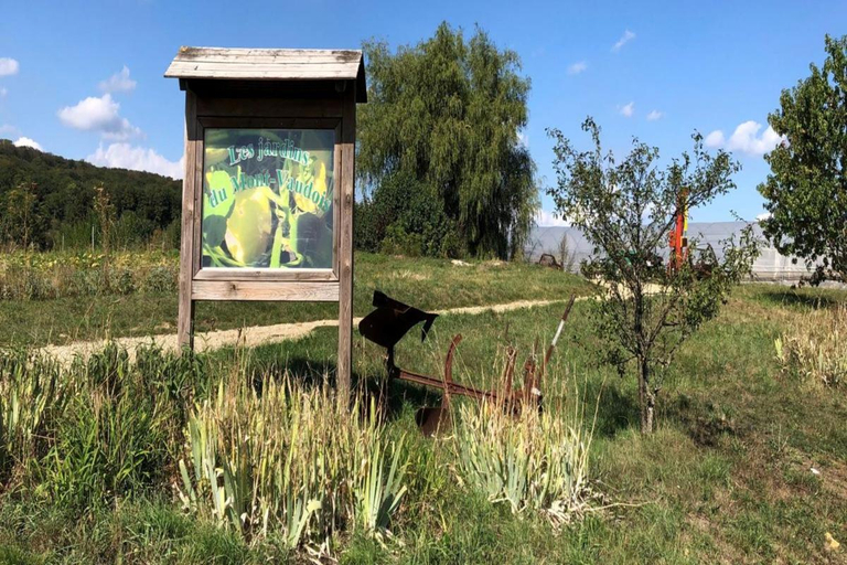 Others 3, La Campagne a la ville dans pavillon avec jardin Clos et privatif, Haute-Saône