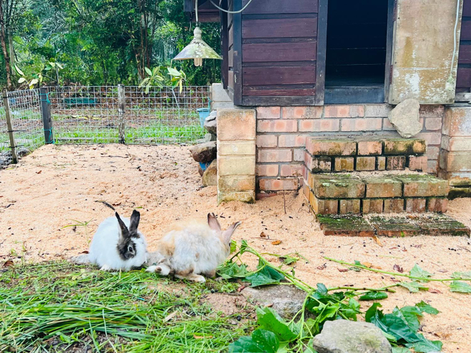 Others 3, KASIH SAYANG Farmstay山下人家, Kluang